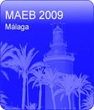 logo maeb 2009